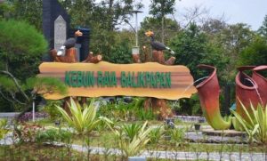 4 Kebun Raya Terbaik Tahun 2023 Menurut BRIN, Temukan Keunikan Profil Masing-masing