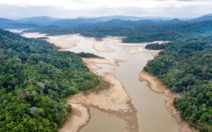 Panic Buying Air Minum Terjadi di Malaysia Akibat Sungai Muda yang Mengering