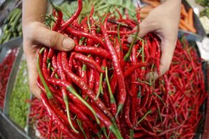 Harga Cabe Melonjak 23 Persen Menjelang Iduladha, Capai Rp50 Ribu per Kg