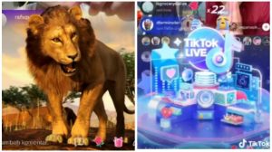 Gift Singa, Paus, Planet dan Universe TikTok Berapa Rupiah?