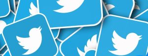 Hari Ini Elon Musk Ganti Logo Twitter ‘Burung Biru’ yang Ikonik