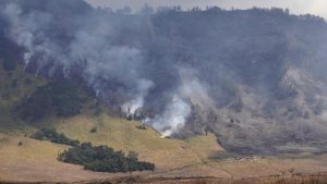 Sudah Masuk Hari Kelima Gunung Bromo Belum Padam
