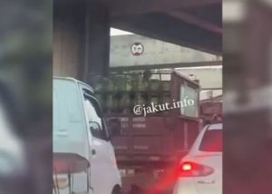 Viral Aksi Bajing Loncat Terekam Curi Tabung Gas di Tanjung Priuk