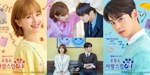 Ini 5 Alasan Drama Korea A Good Day to Be a Dog Menarik untuk Kamu Ditonton!
