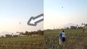Video Viral: Detik-detik Menegangkan Saat Bocah Terbang Terbawa Layangan