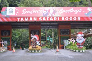 Harga Tiket Taman Safari dan Prigen Selama Natal dan Tahun Baru 2024