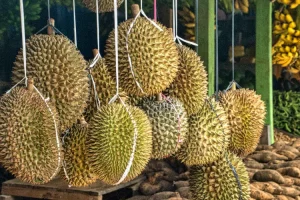 6 Makan yang tidak Boleh di Makan Bersama Duren