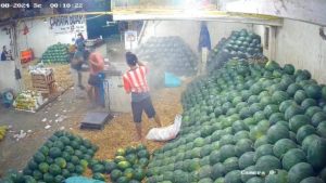 Viral Pedagang Semangka di Pasar Induk Kramat Jati Disiram Air Keras dan Dibacok