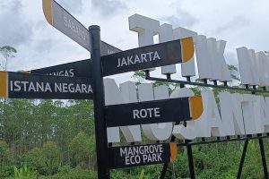 Berapa Tunjang ASN yang Pindah ke IKN? Ini Rinciannya