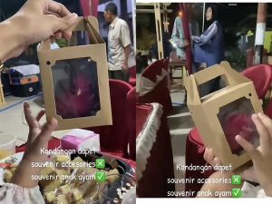 Viral Anak Ayam Warna-warni di Jadikan Souvenir Pernikahan di Mojokerto