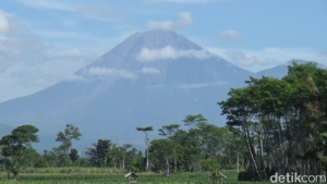 Pagi ini Gunung Semeru Erupsi, Status Waspada