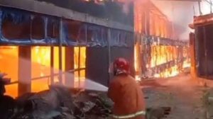 Peternakan Ayam di Kudus Kebakaran, Kerugian Capai Miliaran Rupiah