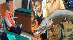 Seorang Kakek Asal Malang Dihukum 5 Bulan Penjara gegara Pelihara Ikan Aligator