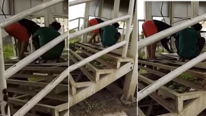 Viral Dua Pria Curi Lantai Besi Halte Busway di Cakung Jaktim
