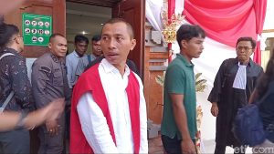 Viral Pria di Bali Terancam 5 Tahun Penjara Gegara Pelihara Landak Jawa