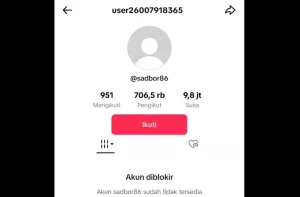 Akun TikTok Gunawan Sadbor Diblokir gegara Promosikan Judi Online