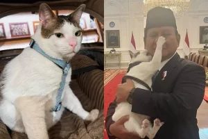 Kocak! Aksi Bobby Kertanegara Gigit dan Cakar Prabowo