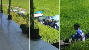 Viral Sekolah di Atas Rawa, Para Siswa Pakai Perahu Untuk Akses Sekolah