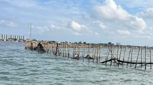 Pagar Laut Misterius Sepanjang 30 Km di Tangerang, Punya Siapa?