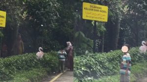 Viral Pengunjung Taman Safari Bogor Nekat Keluar dari Mobil di Area Satwa