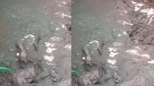 Viral Anak di Nias Rendam Ibunya Sendiri di Lumpur Semalaman hingga Lemas