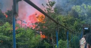 Penginapan dan Restoran Ludes Terbakar di Bukit Lawang