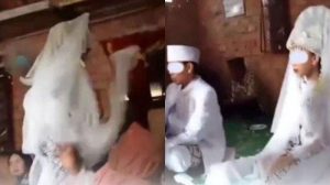 Viral Pengantin Perempuan Minta Cerai Usai 7 Detik Ijab Kabul