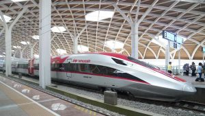 Kereta Cepat Whoosh Terlambat 40 Menit Gegara Biawak