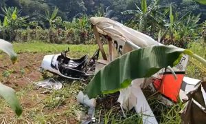 Viral Video Pesawat Latih Jatuh di Bogor, Satu Orang Meninggal Dunia