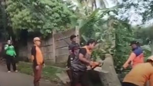 Viral Ayah dan Anak Tertimpa Pohon Tumbang di Sukabumi, Korban Luka Ringan