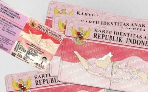 Apa Itu ‘KTP Pink’, Ini Penjelasannya