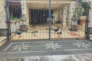 Viral Penampakan Burung Merak di Rumah Mewah Duren Sawit