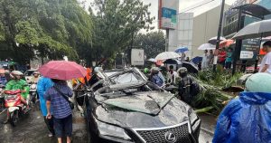Viral Mobil Lexus Tertimpa Pohon Tumbang di Pondok Indah