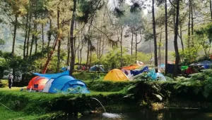 15 Tempat Camping di Bogor Pemandangan Hutan dan Gunung