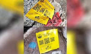 Viral Kayu Berlabel Kemenhut Berserakan di Pantai Lampung