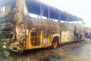 Bus Pariwisata Terbakar di Tol Lampung, Penumpang Selamat