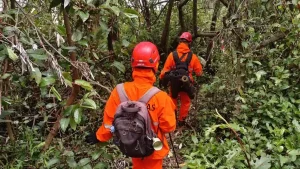 Sempat Hilang, Pendaki Gunung Selamat Ditemukan Meninggal