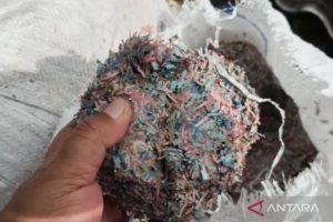 Viral 21 Karung Cacahan Uang di TPS Bekasi