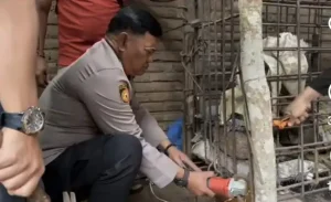 Viral ODGJ di Ponorogo Dipasung Selama 20 Tahun Oleh Keluarganya