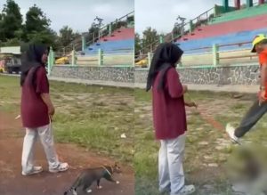 Viral Kucing Ditendang Hingga Mati saat Jalan-jalan di Lapangan Kridosono Blora