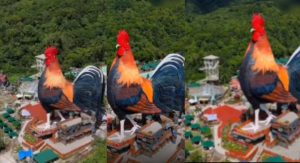 Unik! Hotel Berbentuk Ayam Jantan Viral di Filipina