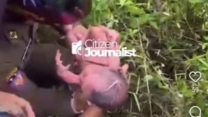 Viral Penemuan Bayi Baru Lahir Oleh Satpol PP di Semak-semak