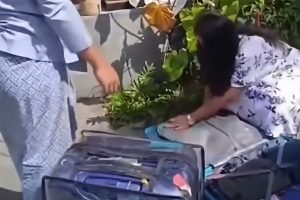 Viral Turis India Curi Barang Hotel di Ubud Bali