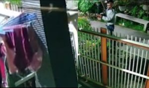 Viral Pria di Lamongan Curi Pakaian Dalam Wanita dengan Modus Cari Cicak