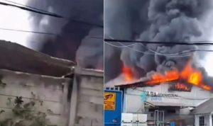 Pabrik Kasur di Bogor Kebakaran Hebat, Asap Mengepul Tinggi
