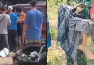Tragis! Anjing Pemburu Babi di Jasinga Bogor Diduga Serang Bocah hingga Tewas