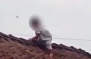 Viral! Balita Naik Atap Rumah di Wonosobo, Orang Tua Panik