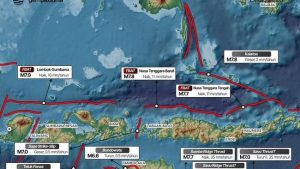 Gempa Magnitudo 7,7 NTT Akibat Sesar Naik Busur Belakang Flores