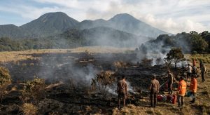 Kebakaran Alun-Alun Suryakencana, Jalur Pendakian Gunung Gede Pangrango Ditutup Sementara