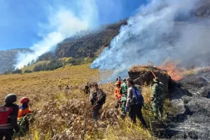 Kebakaran Bromo, Petugas Masih Berupaya Memadamkan Api